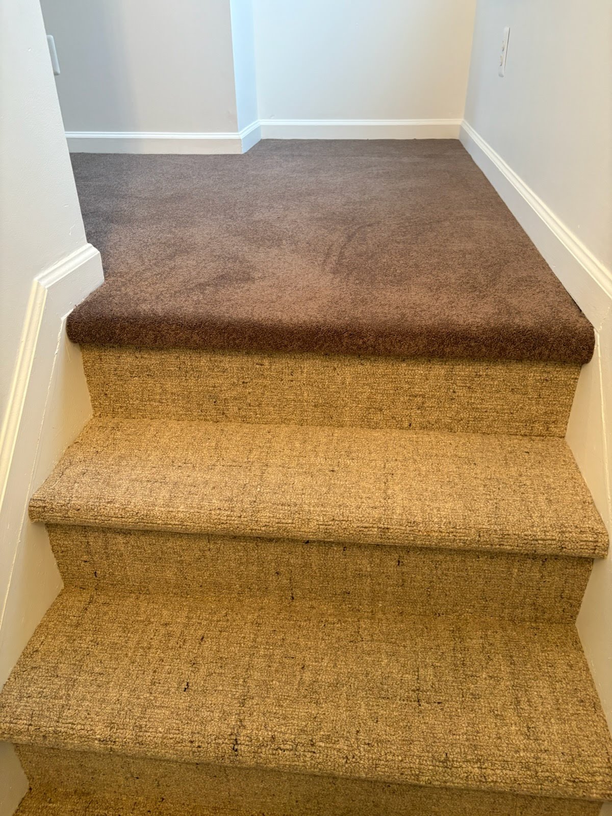 NOURISAN-wool-on-stairs-1.jpeg